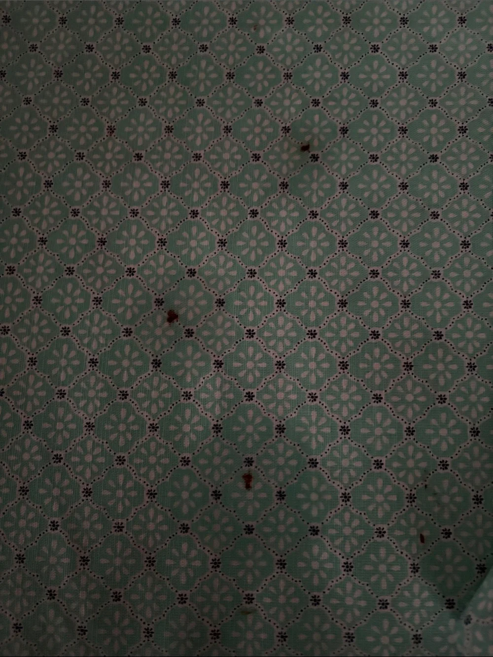 The Pioneer Woman Mint Floral and Pink Accent Kitchen Linens
